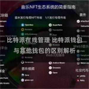比特派在线管理 比特派钱包与其他钱包的区别解析