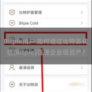 Bitpie用户 如何通过比特派钱包(Bitpie)管理企业级资产？