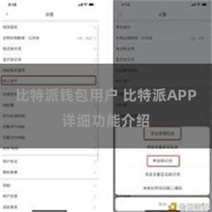 比特派钱包用户 比特派APP详细功能介绍
