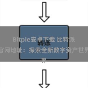 Bitpie安卓下载 比特派官网地址：探索全新数字资产世界