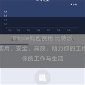 Bitpie钱包使用 比特派系统：实用、安全、高效，助力你的工作与生活