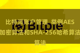 比特派账户管理  举例AES加密算法和SHA-256哈希算法