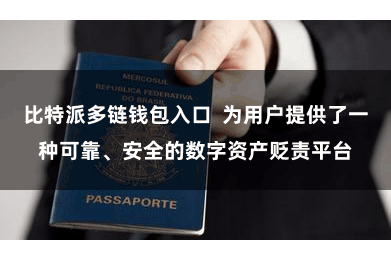 比特派多链钱包入口  为用户提供了一种可靠、安全的数字资产贬责平台