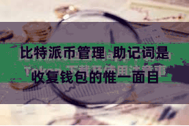 比特派币管理  助记词是收复钱包的惟一面目