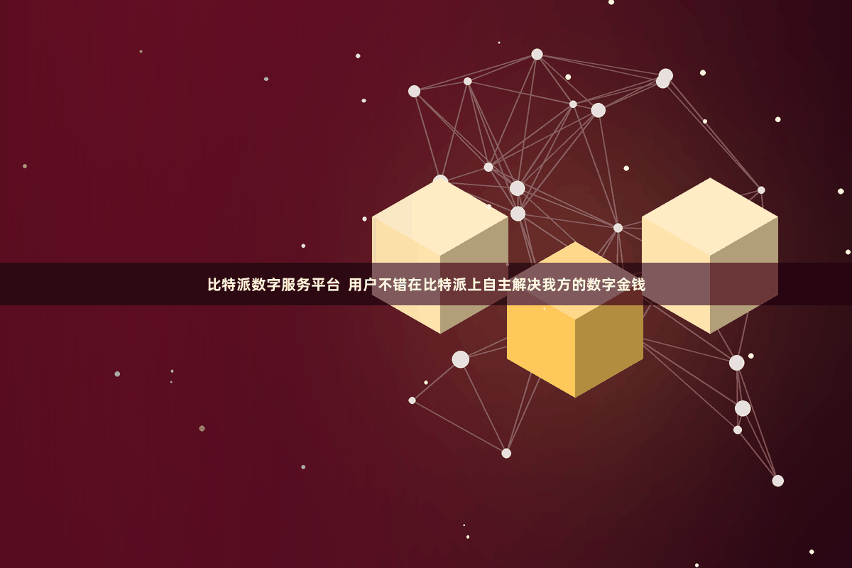 比特派数字服务平台  用户不错在比特派上自主解决我方的数字金钱